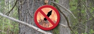 Fireworks-ban